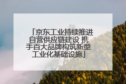 京东工业持续推进自营供应链建设 携手百大品牌构筑新型工业化基础设施