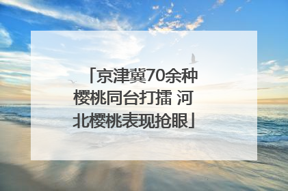 京津冀70余种樱桃同台打擂 河北樱桃表现抢眼