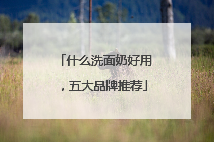 什么洗面奶好用，五大品牌推荐