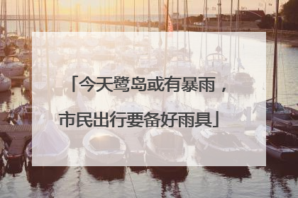 今天鹭岛或有暴雨，市民出行要备好雨具