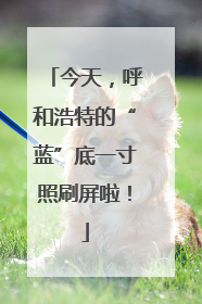 今天，呼和浩特的“蓝”底一寸照刷屏啦！