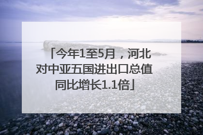 今年1至5月，河北对中亚五国进出口总值同比增长1.1倍