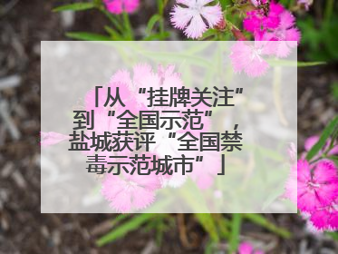 从“挂牌关注”到“全国示范”，盐城获评“全国禁毒示范城市”