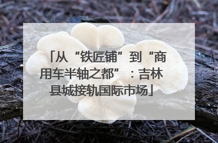 从“铁匠铺”到“商用车半轴之都”：吉林县城接轨国际市场