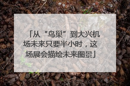 从“鸟巢”到大兴机场未来只要半小时，这场展会描绘未来图景