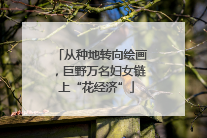从种地转向绘画，巨野万名妇女链上“花经济”