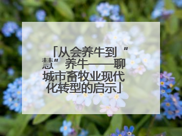从会养牛到“慧”养牛——聊城市畜牧业现代化转型的启示