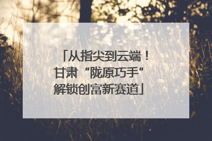从指尖到云端！甘肃“陇原巧手”解锁创富新赛道