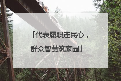 代表履职连民心，群众智慧筑家园
