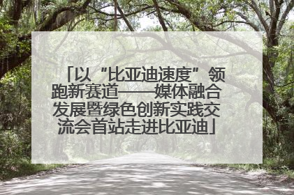 以“比亚迪速度”领跑新赛道——媒体融合发展暨绿色创新实践交流会首站走进比亚迪