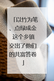 以竹为笔、点绿成金 这个乡镇交出了他们的共富答卷