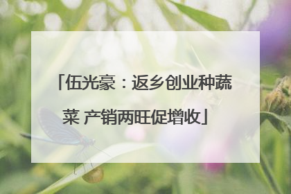 伍光豪：返乡创业种蔬菜 产销两旺促增收