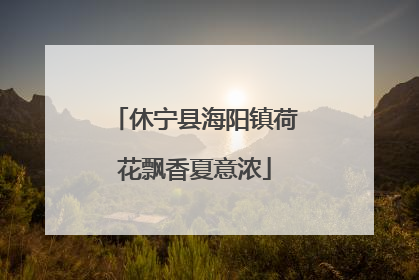 休宁县海阳镇荷花飘香夏意浓