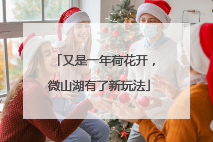 又是一年荷花开，微山湖有了新玩法