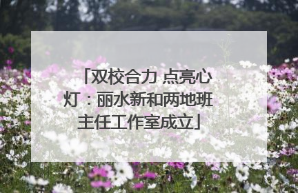 双校合力 点亮心灯：丽水新和两地班主任工作室成立