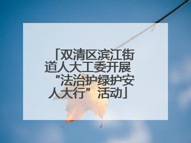 双清区滨江街道人大工委开展“法治护绿护安人大行”活动