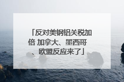 反对美钢铝关税加倍 加拿大、墨西哥、欧盟反应来了