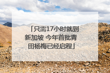 只需17小时就到新加坡 今年首批青田杨梅已经启程