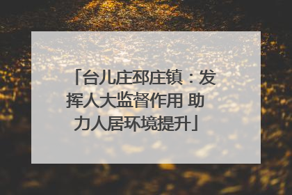 台儿庄邳庄镇：发挥人大监督作用 助力人居环境提升