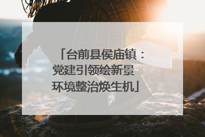 台前县侯庙镇：党建引领绘新景 环境整治焕生机