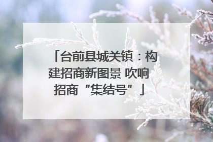 台前县城关镇：构建招商新图景 吹响招商“集结号”