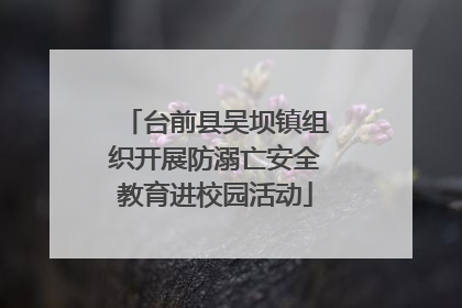 台前县吴坝镇组织开展防溺亡安全教育进校园活动