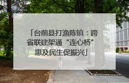 台前县打渔陈镇：跨省联建架通“连心桥” 惠及民生促振兴