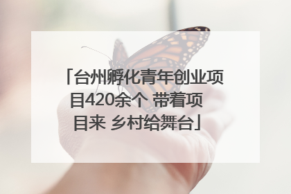 台州孵化青年创业项目420余个 带着项目来 乡村给舞台