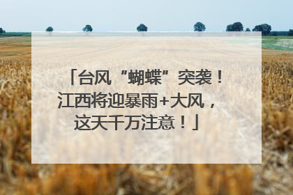 台风“蝴蝶”突袭！江西将迎暴雨+大风，这天千万注意！