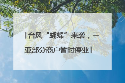 台风“蝴蝶”来袭，三亚部分商户暂时停业