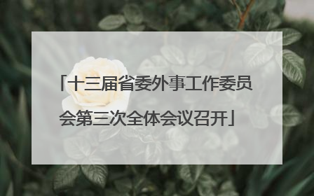 十三届省委外事工作委员会第三次全体会议召开