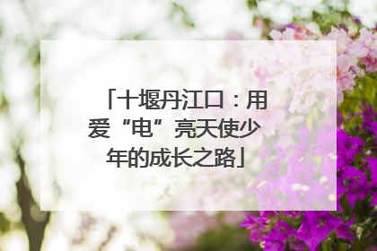 十堰丹江口：用爱“电”亮天使少年的成长之路