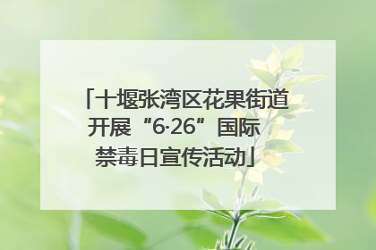 十堰张湾区花果街道开展“6·26”国际禁毒日宣传活动