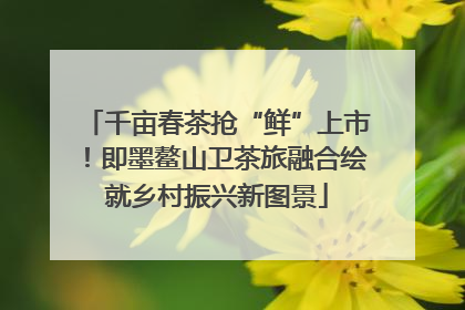 千亩春茶抢“鲜”上市！即墨鳌山卫茶旅融合绘就乡村振兴新图景