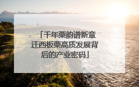 千年栗韵谱新章 迁西板栗高质发展背后的产业密码