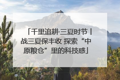 千里追耕·三夏时节丨战三夏保丰收 探索“中原粮仓”里的科技感