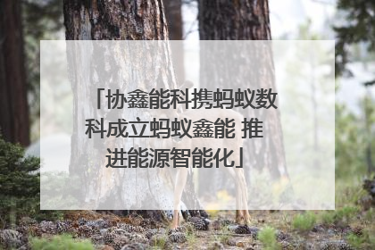 协鑫能科携蚂蚁数科成立蚂蚁鑫能 推进能源智能化