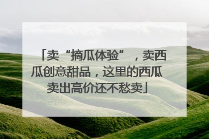 卖“摘瓜体验”，卖西瓜创意甜品，这里的西瓜卖出高价还不愁卖