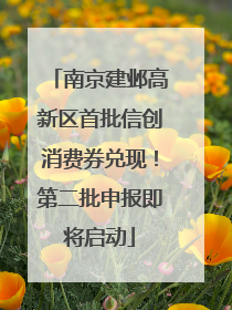 南京建邺高新区首批信创消费券兑现！第二批申报即将启动