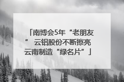 南博会5年“老朋友” 云铝股份不断擦亮云南制造“绿名片”