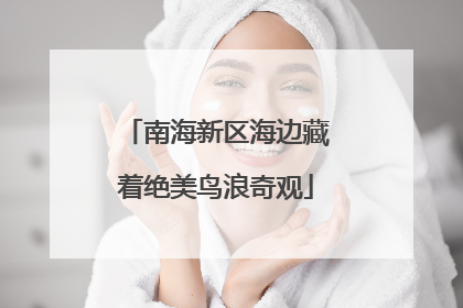 南海新区海边藏着绝美鸟浪奇观
