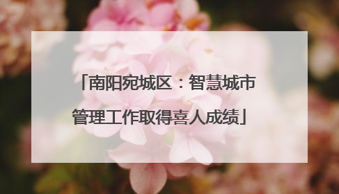 南阳宛城区：智慧城市管理工作取得喜人成绩