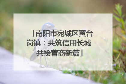 南阳市宛城区黄台岗镇：共筑信用长城 共绘营商新篇
