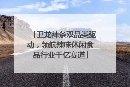 卫龙辣条双品类驱动，领航辣味休闲食品行业千亿赛道