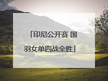 印尼公开赛 国羽女单四战全胜