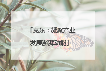 克东：凝聚产业发展澎湃动能