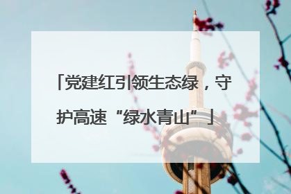 党建红引领生态绿，守护高速“绿水青山”