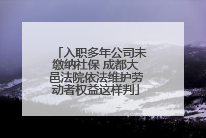 入职多年公司未缴纳社保 成都大邑法院依法维护劳动者权益这样判
