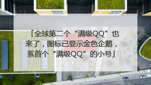 全球第二个“满级QQ”也来了，图标已显示金色企鹅，系首个“满级QQ”的小号