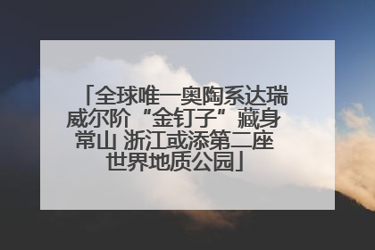 全球唯一奥陶系达瑞威尔阶“金钉子”藏身常山 浙江或添第二座世界地质公园